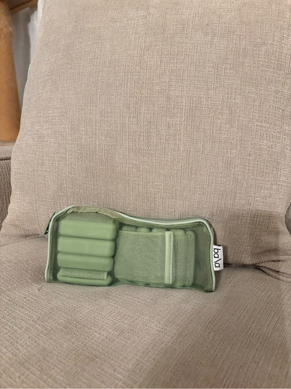1lb bala wrist / ankle weights